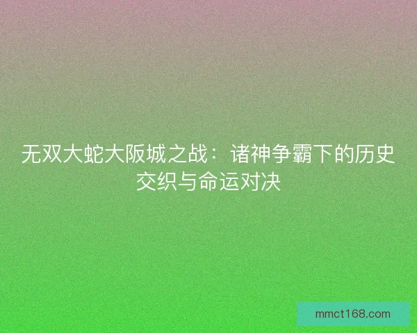 无双大蛇大阪城之战：诸神争霸下的历史交织与命运对决